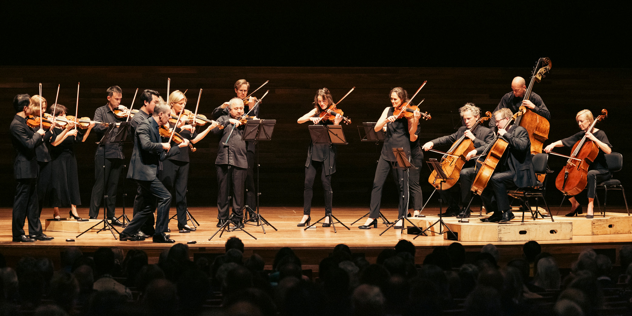 Australian Chamber Orchestra